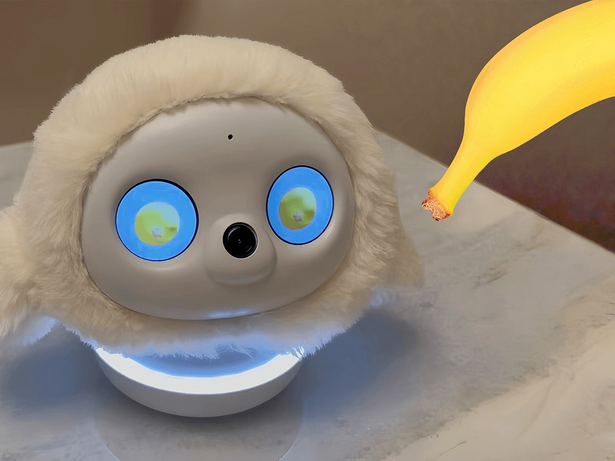 楽しい餌やりタイム