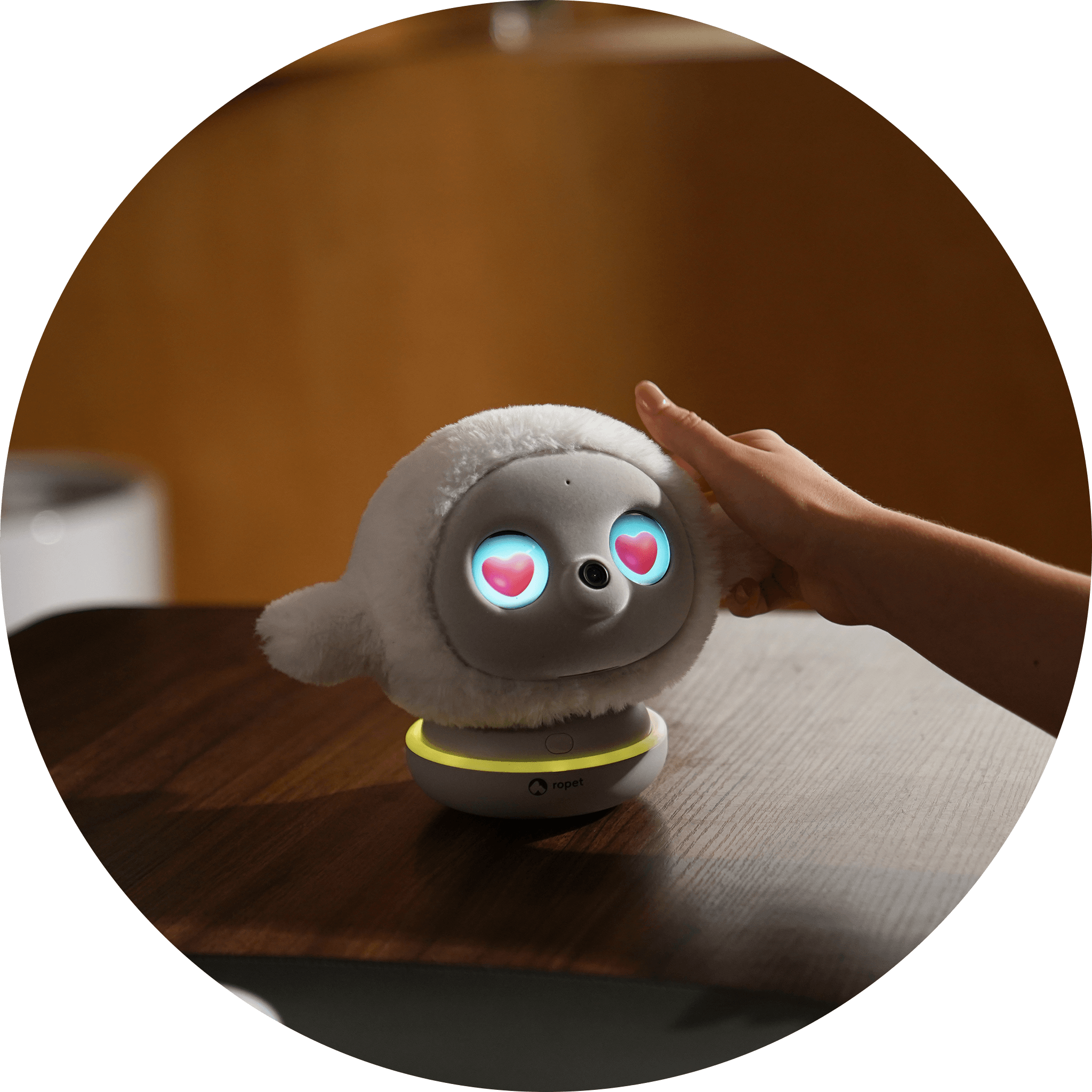 日々のふれあいで少しずつ「クセや好み」が形づくられます。