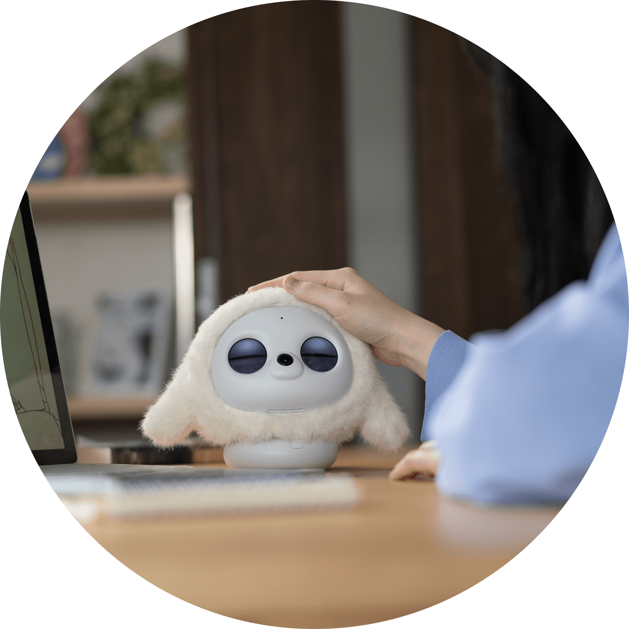 思わず撫でたくなるふわふわボディ。