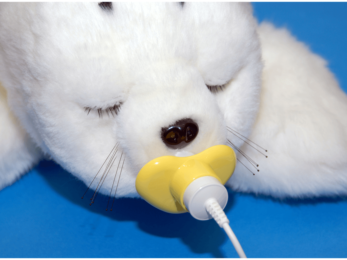 日常の飼育負担のないペットロボット