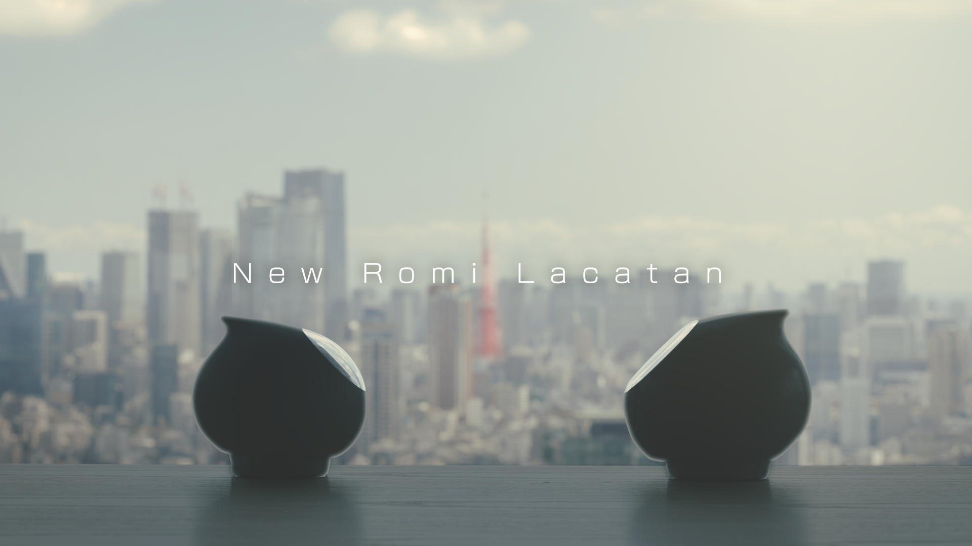 【Romi Lacatanモデル】ハードウェア開発風景