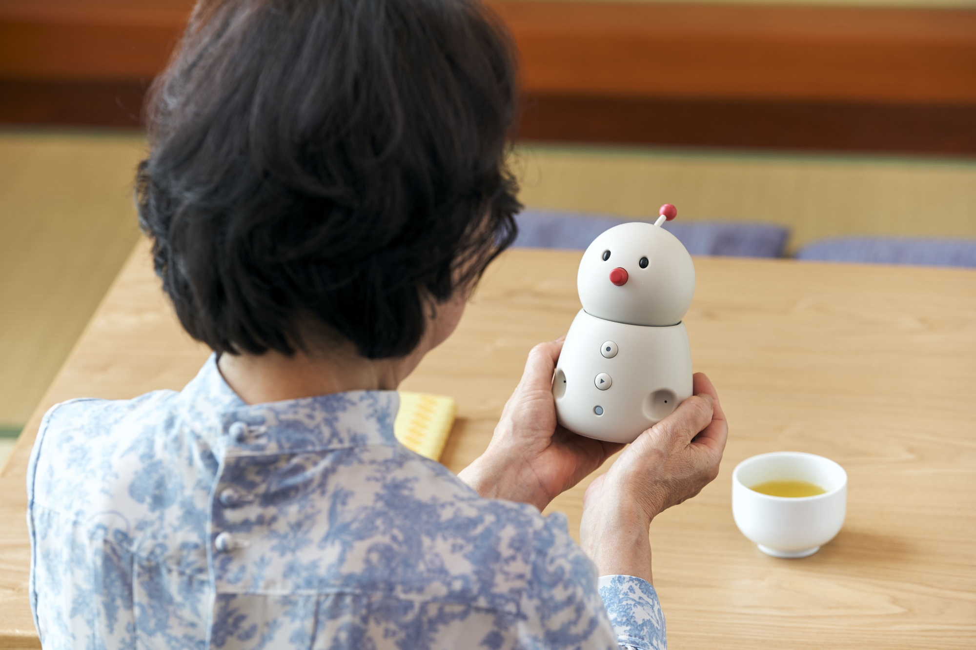 高齢者の孤独感を軽減するペットロボット 6選